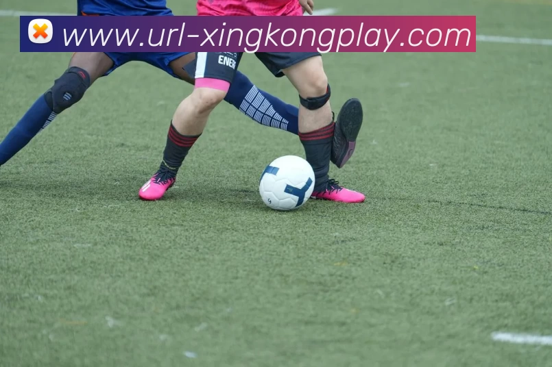 星空体育APP 高清赛事图